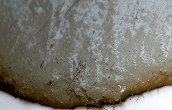 b&eacute;ton fibr&eacute;